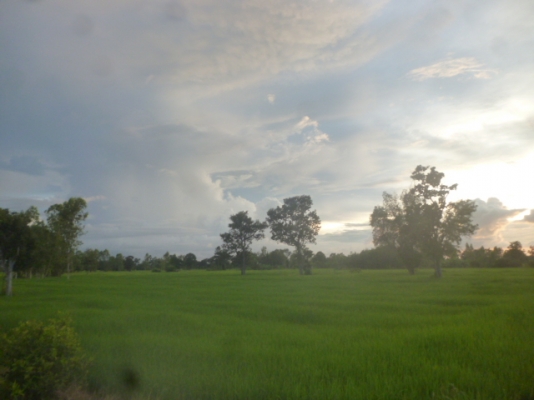 ต้องการรถเกี่ยวข้าว นาปี 4 คัน มาศรีสะเกษ ราคาไร่ละ 650 เริ่มต้น 700 800 บาท เกี่ยวข้าวเสร็จรับเงินกลับบ้านได้เลย ทำสัญญากันได้นะครับ((รีบกันนะครับเราจะจองพื้นที่ไว้ให้)) รับประกันได้เลยเก็บเงินง่าย ให้ญาติช่วยบริหาร มีเครื่องตรวจวัดนาได้ยิ่งดีครับ รถกระ ต้องการรถเกี่ยวข้าว นาปี 4 คัน มาศรีสะเกษ ราคาไร่ละ 650 เริ่มต้น 700 800 บาท เกี่ยวข้าวเสร็จรับเงินกลับบ้านได้เลย ทำสัญญากันได้นะครับ((รีบกันนะครับเราจะจองพื้นที่ไว้ให้)) รับประกันได้เลยเก็บเงินง่าย ให้ญาติช่วยบริหาร มีเครื่องตรวจวัดนาได้ยิ่งดีครับ รถกระ