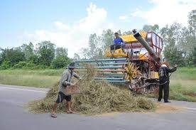 ต้องการรถเกี่ยวข้าว นาปี 4 คัน มาศรีสะเกษ ราคาไร่ละ 650 เริ่มต้น 700 800 บาท เกี่ยวข้าวเสร็จรับเงินกลับบ้านได้เลย ทำสัญญากันได้นะครับ((รีบกันนะครับเราจะจองพื้นที่ไว้ให้)) รับประกันได้เลยเก็บเงินง่าย ให้ญาติช่วยบริหาร มีเครื่องตรวจวัดนาได้ยิ่งดีครับ รถกระ ต้องการรถเกี่ยวข้าว นาปี 4 คัน มาศรีสะเกษ ราคาไร่ละ 650 เริ่มต้น 700 800 บาท เกี่ยวข้าวเสร็จรับเงินกลับบ้านได้เลย ทำสัญญากันได้นะครับ((รีบกันนะครับเราจะจองพื้นที่ไว้ให้)) รับประกันได้เลยเก็บเงินง่าย ให้ญาติช่วยบริหาร มีเครื่องตรวจวัดนาได้ยิ่งดีครับ รถกระ