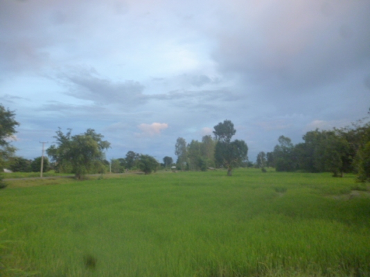 ต้องการรถเกี่ยวข้าว นาปี 4 คัน มาศรีสะเกษ ราคาไร่ละ 650 เริ่มต้น 700 800 บาท เกี่ยวข้าวเสร็จรับเงินกลับบ้านได้เลย ทำสัญญากันได้นะครับ((รีบกันนะครับเราจะจองพื้นที่ไว้ให้)) รับประกันได้เลยเก็บเงินง่าย ให้ญาติช่วยบริหาร มีเครื่องตรวจวัดนาได้ยิ่งดีครับ รถกระ ต้องการรถเกี่ยวข้าว นาปี 4 คัน มาศรีสะเกษ ราคาไร่ละ 650 เริ่มต้น 700 800 บาท เกี่ยวข้าวเสร็จรับเงินกลับบ้านได้เลย ทำสัญญากันได้นะครับ((รีบกันนะครับเราจะจองพื้นที่ไว้ให้)) รับประกันได้เลยเก็บเงินง่าย ให้ญาติช่วยบริหาร มีเครื่องตรวจวัดนาได้ยิ่งดีครับ รถกระ