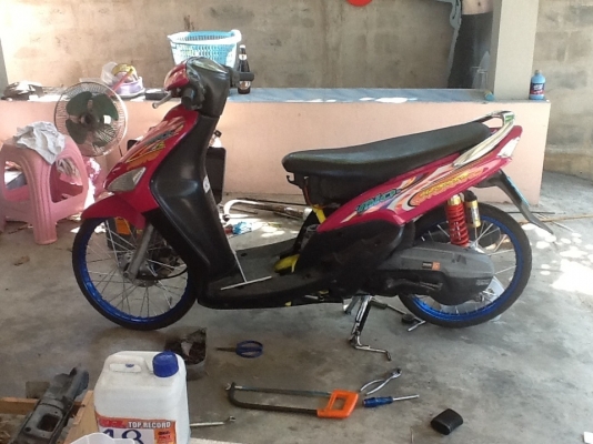 ขายมีโอ ลุกเดิม สภาพหล่อๆ