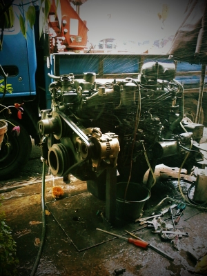 เครื่อง EL100 เร่งแข็ง