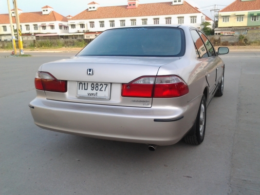 ขายแอคคอร์ต งูเห่า