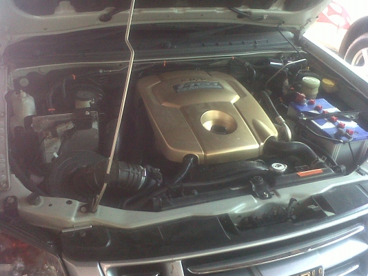 ขาย ตัด ขาย ตัด