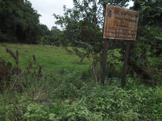 ขายด่วนที่เปล่า 400 ตารางวา ทำเลสวย ราคาถูก