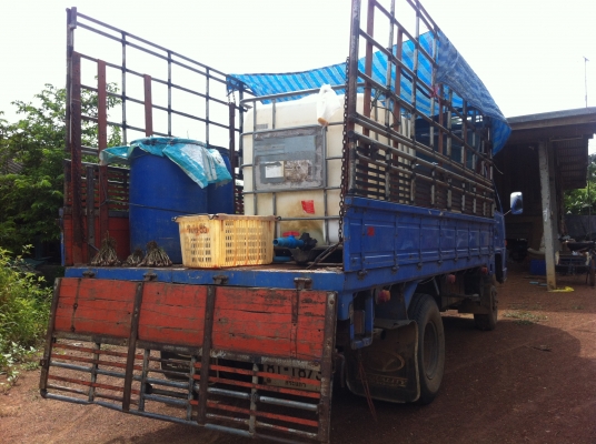 6 ล้อสภาพดี ราคาไม่แพง 6 ล้อสภาพดี ราคาไม่แพง