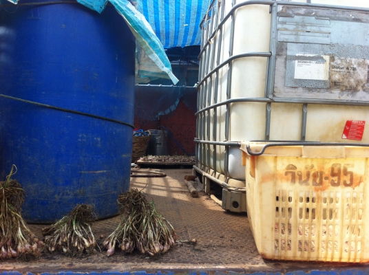 6 ล้อสภาพดี ราคาไม่แพง 6 ล้อสภาพดี ราคาไม่แพง