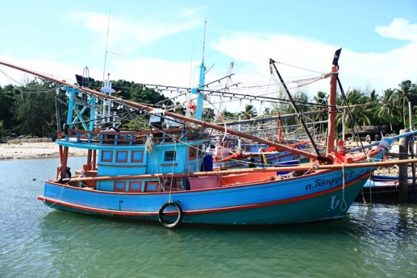 เรือปั่นหมึก ขนาด 5วา 2 ศอก (11 เมตร) ครับ สภาพใช้งานได้ทันที เรือปั่นหมึก ขนาด 5วา 2 ศอก (11 เมตร) ครับ สภาพใช้งานได้ทันที