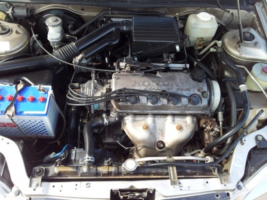 ขอขาย Type Z สวยๆ ถูกๆ ครับ ขอขาย Type Z สวยๆ ถูกๆ ครับ