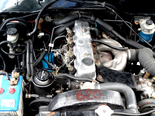 ขายช้างเหยียบ เจ็บ ๆ ขายช้างเหยียบ เจ็บ ๆ