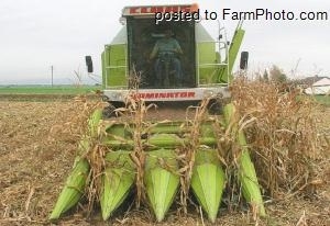 ขายรถเกี่ยวข้าวโพด Claas dominator 68s