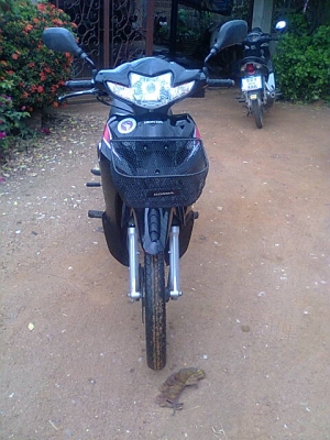 เวฟ110ไอปี54ตัวใหม่ เวฟ110ไอปี54ตัวใหม่