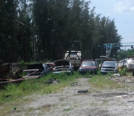 ขายรถกระบะปิคอัพ 5 คัน 250000 ขายรถกระบะปิคอัพ 5 คัน 250000