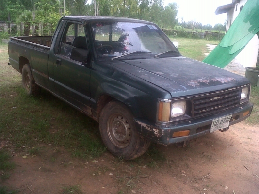 ไซโคลน ปี 32 ไซโคลน ปี 32