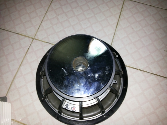 ขายดอกฃับ12นิ้วราคาถูก1คู่สภาพดีเลยครับ