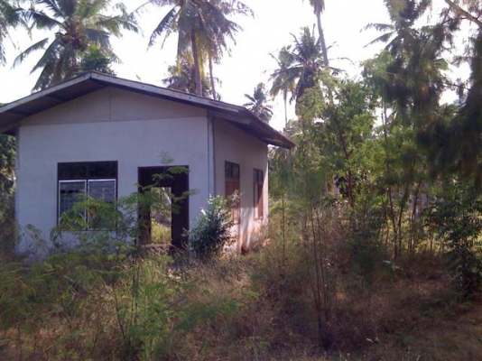 -ขายที่ดินประจวบสวนมะพร้าว150000มี19ไร่