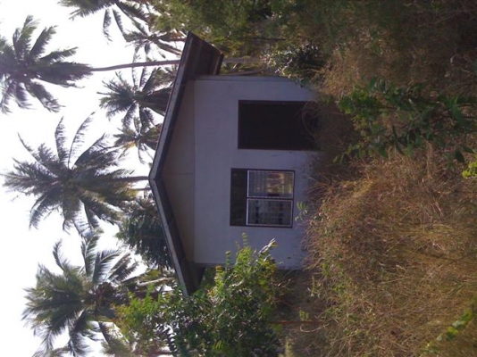 -ขายที่ดินประจวบสวนมะพร้าว150000มี19ไร่