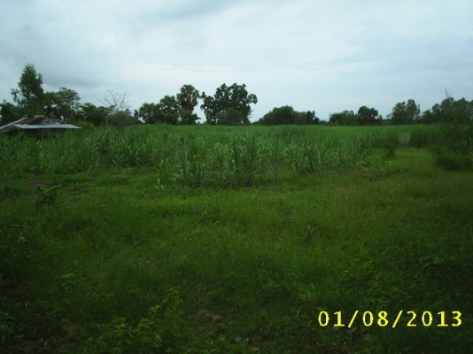 ขายที่ดิน