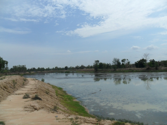 ขายที่ดิน