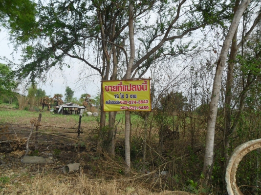 ขายที่ดิน