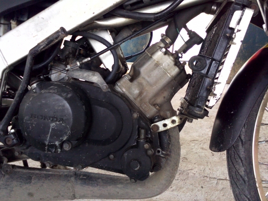 ขาย Ls125ตัวใหม่