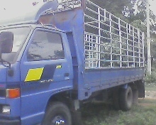 ขายisuzu115แรง6ล้อยาว5เมตรคอกเหล็กสวยเป๊ปปะปารถสวยFหน้าแล้วราคาต่อรองได้ ขายisuzu115แรง6ล้อยาว5เมตรคอกเหล็กสวยเป๊ปปะปารถสวยFหน้าแล้วราคาต่อรองได้