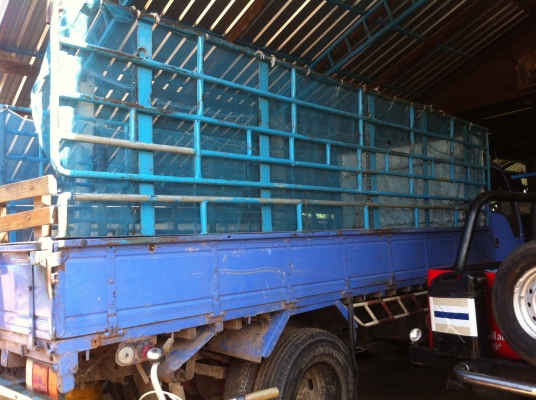 ขาย NKR110 วาง หัวกาตูน แจ้งลงเล่มแล้ว