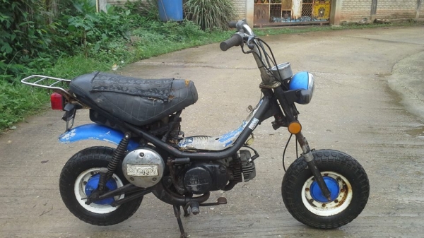 ชิบปี้สภาพเดิมๆราคาถูก5800บาท