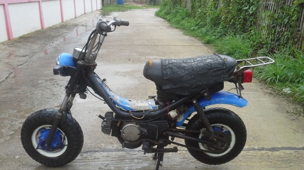 ชิบปี้สภาพเดิมๆราคาถูก5800บาท