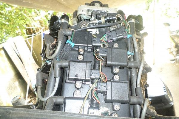 ต้องการขาย ต้องการขาย