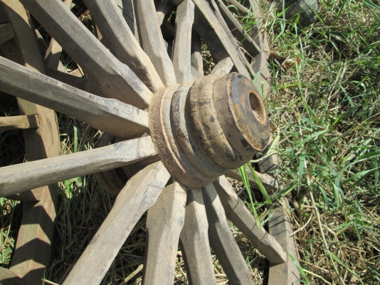 เหลือน้อยแล้วครับ        เหลือ 4 วง          เชิญครับ