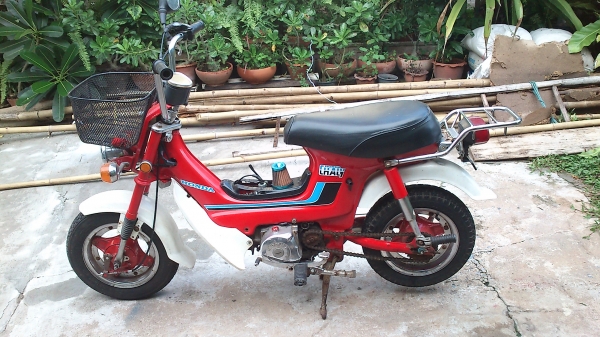 ขายชาลี