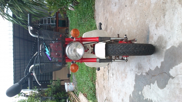 ขายชาลี