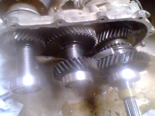 ขายเกียร์ คาริเบียน สำหรับทำเกียร์ฝาก ขายเกียร์ คาริเบียน สำหรับทำเกียร์ฝาก