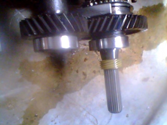 ขายเกียร์ คาริเบียน สำหรับทำเกียร์ฝาก ขายเกียร์ คาริเบียน สำหรับทำเกียร์ฝาก