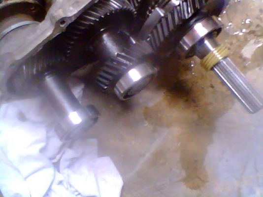 ขายเกียร์ คาริเบียน สำหรับทำเกียร์ฝาก ขายเกียร์ คาริเบียน สำหรับทำเกียร์ฝาก