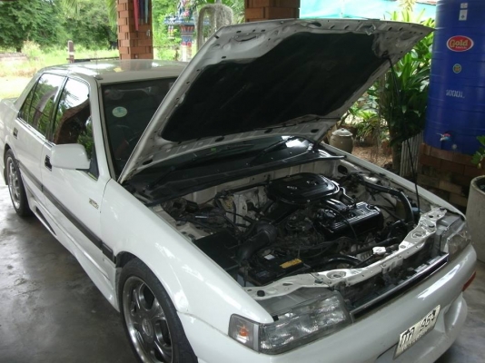 ขาย ACCORD88 ขาย ACCORD88