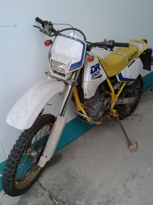 ขาย  dr 250s