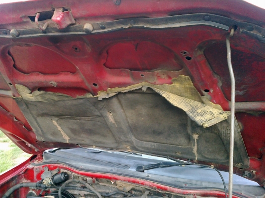 มิซซู สตาด้า เดิมสวยมาก มิซซู สตาด้า เดิมสวยมาก