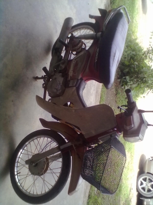 ขายดรีมคุรุ ถูกๆแห้งๆทะเบียนโอน