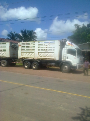 ขายFVZ300ต่อดาวน์