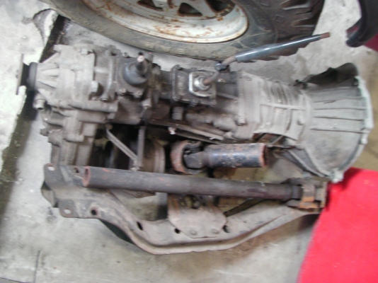 ขายเกียร์ ป.ปลา