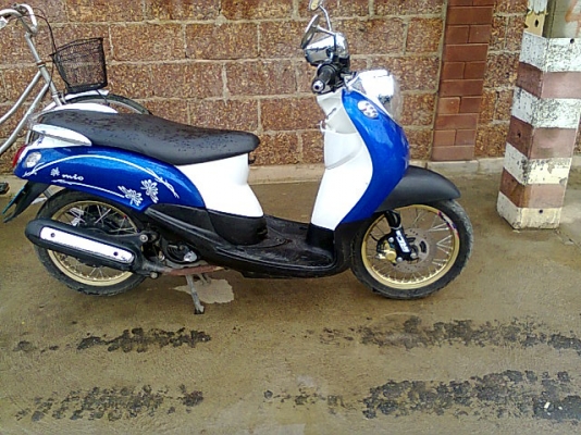 มีโอแปลงสวยๆ