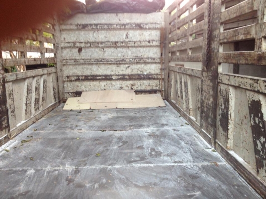 ขาย 10 ล้อ fuso515 สภาพดีคอกเกษตรไม่ดั้ม กะบะ สวยราคาต่อรองได้นิดหน่อยครับ ขาย 10 ล้อ fuso515 สภาพดีคอกเกษตรไม่ดั้ม กะบะ สวยราคาต่อรองได้นิดหน่อยครับ