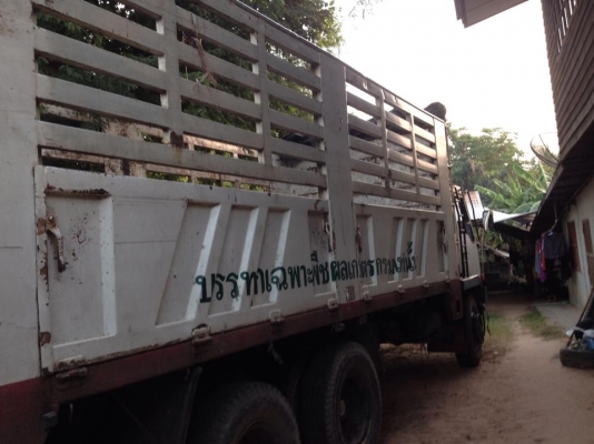 ขาย 10 ล้อ fuso515 สภาพดีคอกเกษตรไม่ดั้ม กะบะ สวยราคาต่อรองได้นิดหน่อยครับ ขาย 10 ล้อ fuso515 สภาพดีคอกเกษตรไม่ดั้ม กะบะ สวยราคาต่อรองได้นิดหน่อยครับ