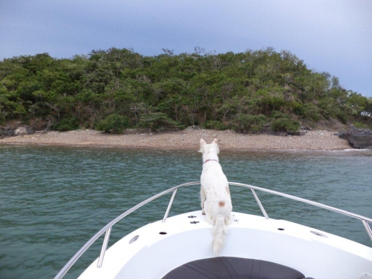 ลดราคาเหลือแค่ 450000 ต้องการขายเรือไฟเบอร์ 22 ฟุต พร้อมเครื่อง YAMAHA 115 Hp