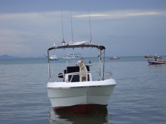 ลดราคาเหลือแค่ 450000 ต้องการขายเรือไฟเบอร์ 22 ฟุต พร้อมเครื่อง YAMAHA 115 Hp