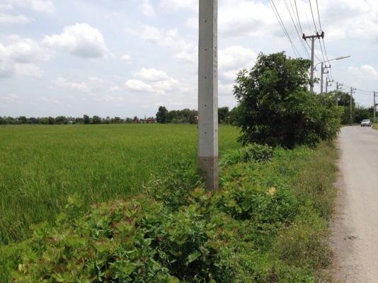 ขออนุญาตประกาศขายที่ดินเปล่า 26 ไร่ จ.ปทุทธานี เขต ลาดหลุมแก้ว(มีโฉนด) ขออนุญาตประกาศขายที่ดินเปล่า 26 ไร่ จ.ปทุทธานี เขต ลาดหลุมแก้ว(มีโฉนด)