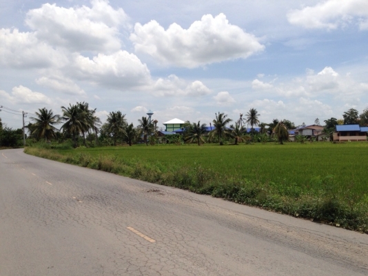 ขออนุญาตประกาศขายที่ดินเปล่า 26 ไร่ จ.ปทุทธานี เขต ลาดหลุมแก้ว(มีโฉนด) ขออนุญาตประกาศขายที่ดินเปล่า 26 ไร่ จ.ปทุทธานี เขต ลาดหลุมแก้ว(มีโฉนด)