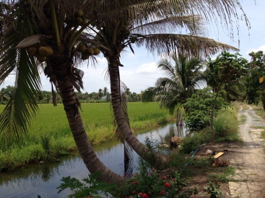 ขออนุญาตประกาศขายที่ดินเปล่า 26 ไร่ จ.ปทุทธานี เขต ลาดหลุมแก้ว(มีโฉนด) ขออนุญาตประกาศขายที่ดินเปล่า 26 ไร่ จ.ปทุทธานี เขต ลาดหลุมแก้ว(มีโฉนด)