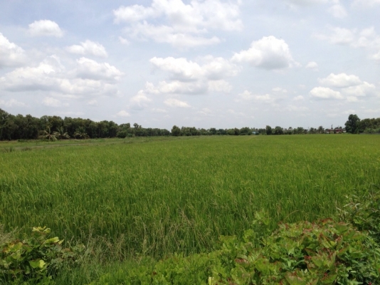 ขออนุญาตประกาศขายที่ดินเปล่า 26 ไร่ จ.ปทุทธานี เขต ลาดหลุมแก้ว(มีโฉนด) ขออนุญาตประกาศขายที่ดินเปล่า 26 ไร่ จ.ปทุทธานี เขต ลาดหลุมแก้ว(มีโฉนด)